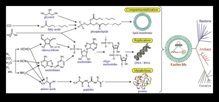 Dzīves pamatelementi: atklāta uztura bioķīmija