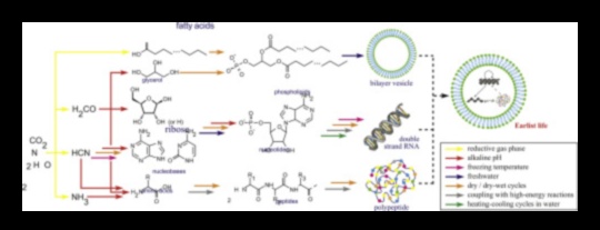 Dzīves pamatelementi: atklāta uztura bioķīmija