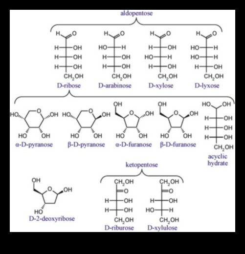 Dzīves pamatelementi: atklāta uztura bioķīmija