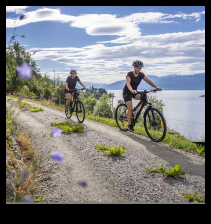 Videi draudzīgi pētījumi: riteņbraukšana ilgtspējīgam tūrismam