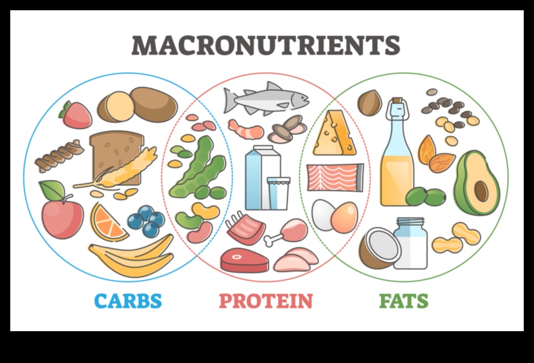 Līdzsvarots dzīvesveids: makroelementu galvenā loma