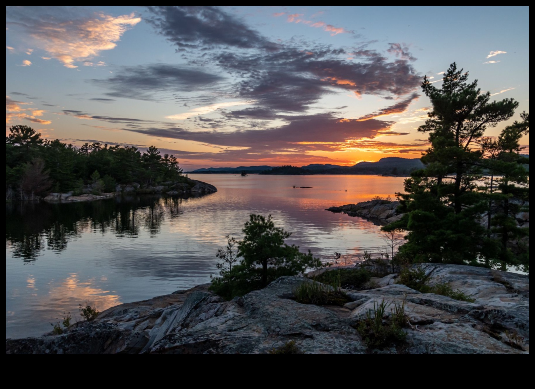 Daba krāsās: Floras un faunas skaistuma tveršana ar zīmuli