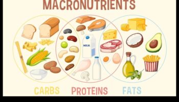 Līdzsvarots dzīvesveids: makroelementu galvenā loma