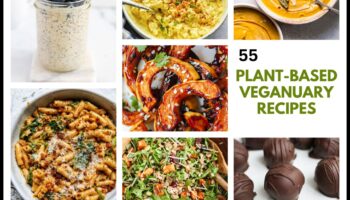 Vegānu simfonija: harmoniska augu baudījumu šķīvja izveidošana